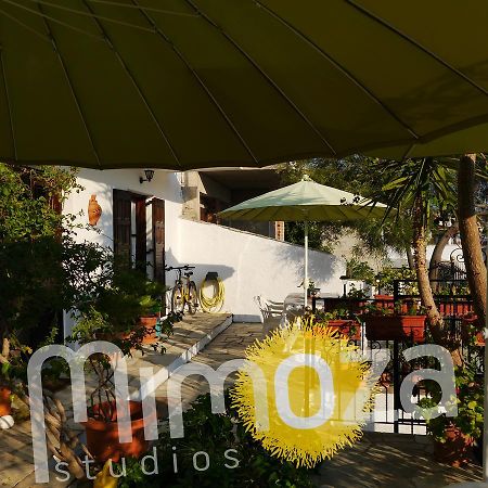 Mimoza Studios Skiathos-Stadt Exterior foto