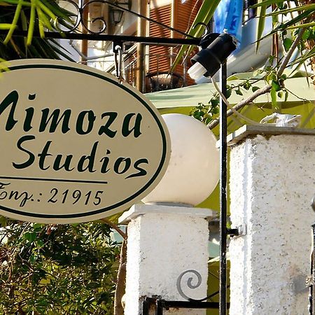 Mimoza Studios Skiathos-Stadt Exterior foto