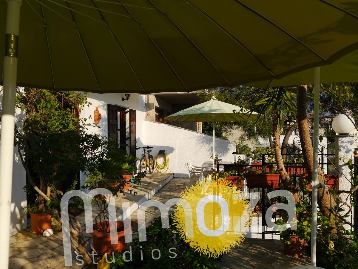 Mimoza Studios Skiathos-Stadt Exterior foto