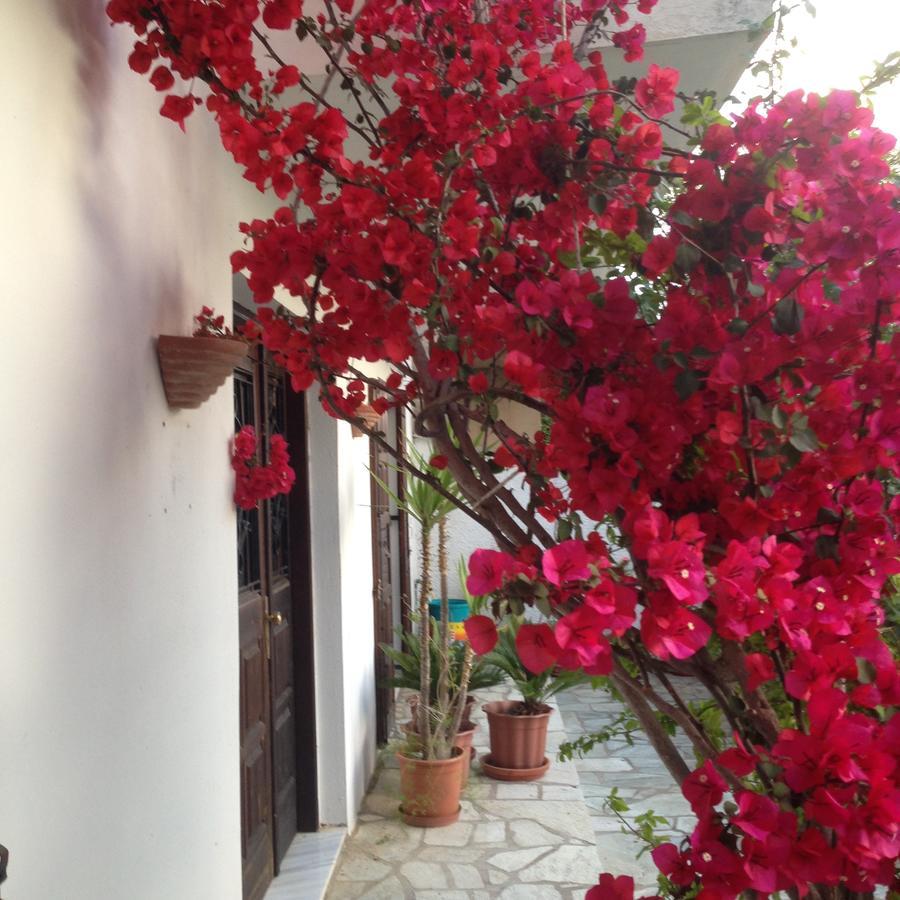 Mimoza Studios Skiathos-Stadt Exterior foto